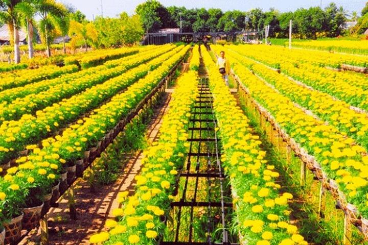 Cách Khởi Nghiệp Kiếm Tiền Bán Thời Gian Dành Cho Người Mới_Video ngắn thời gian thực